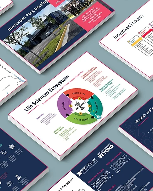 Data-rich presentation and infographic design