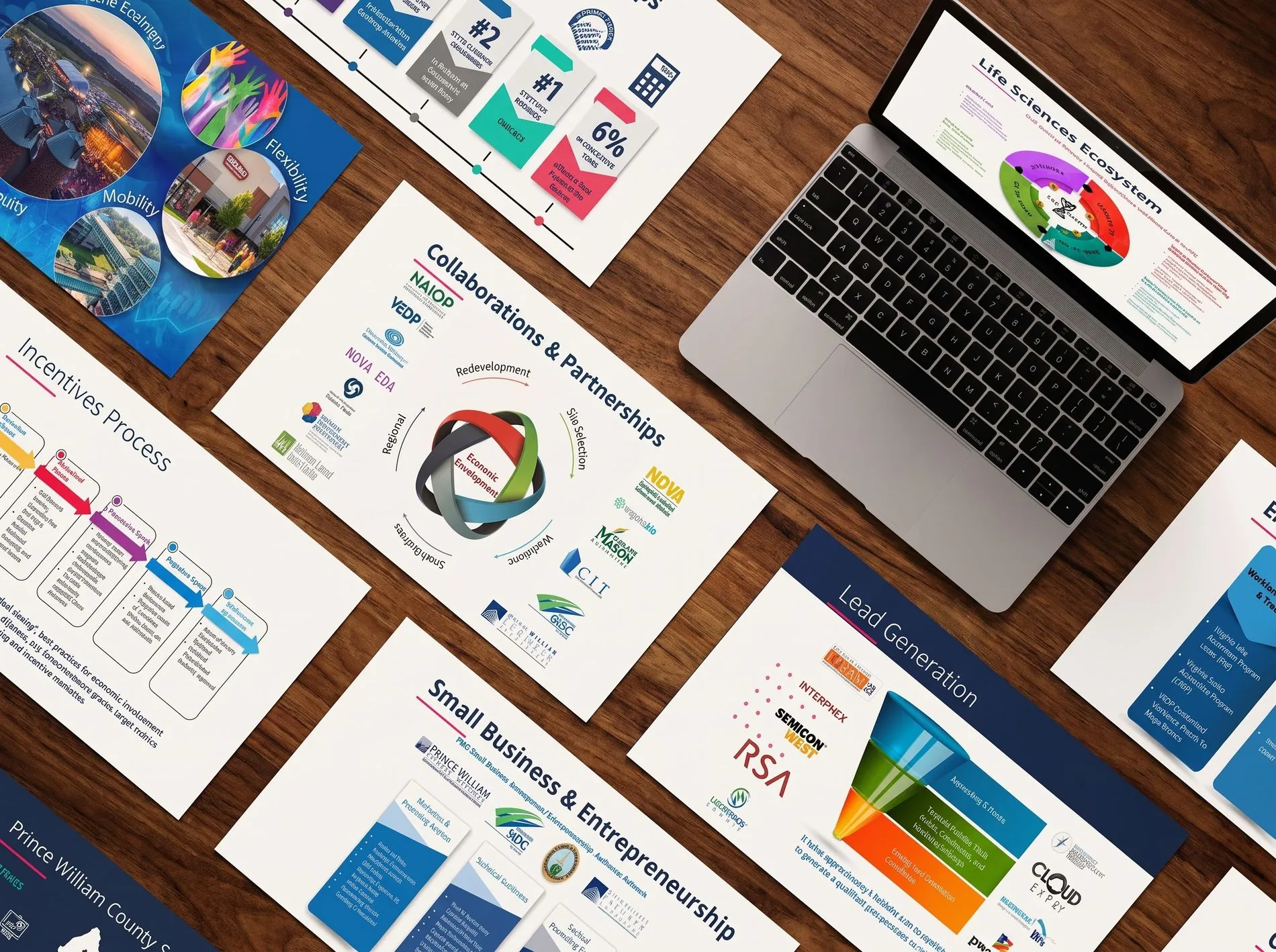 Brand collateral flatlay